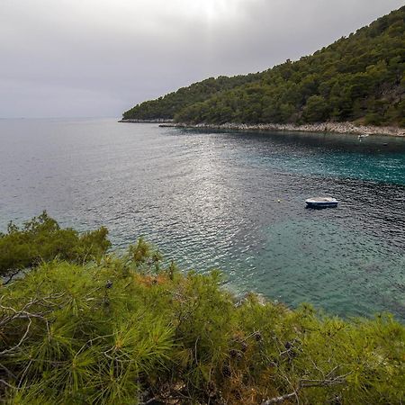 Secluded Fisherman'S Cottage Cove Skozanje, Hvar - 4009 Gdinj Extérieur photo