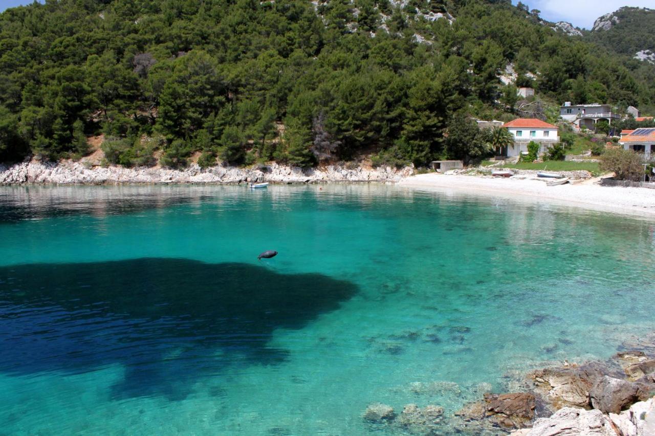 Secluded Fisherman'S Cottage Cove Skozanje, Hvar - 4009 Gdinj Extérieur photo